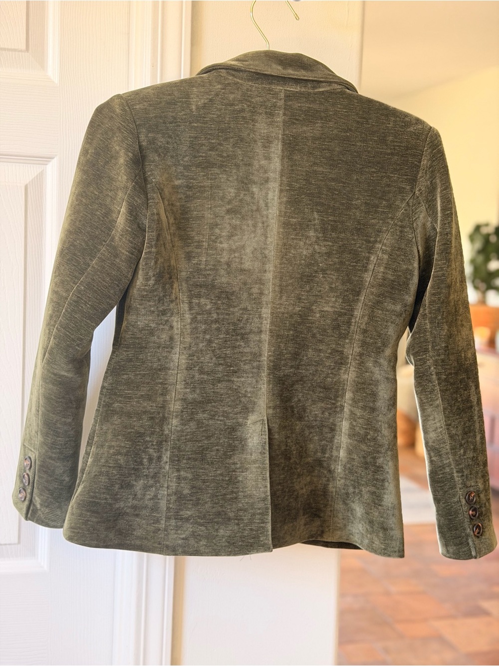 Greylin Olive Green Velvet Blazer - Picture 4 of 6